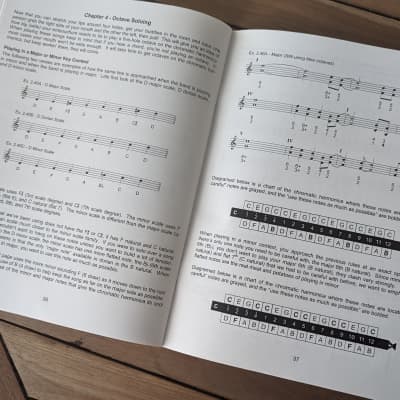 Book & CD: David Barrett's Harmonica Masterclass - Basic Blues Chromatic for the Diatonic Player, (44pp + CD) image 3