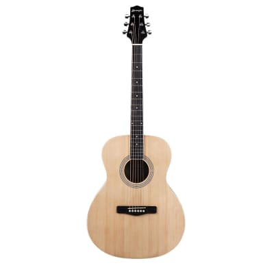 Fender GDO 200 Orchestra Auditorium 000 Acoustic Guitar w/ Dean Markley Pro  Mag Plus Pickup! | Reverb