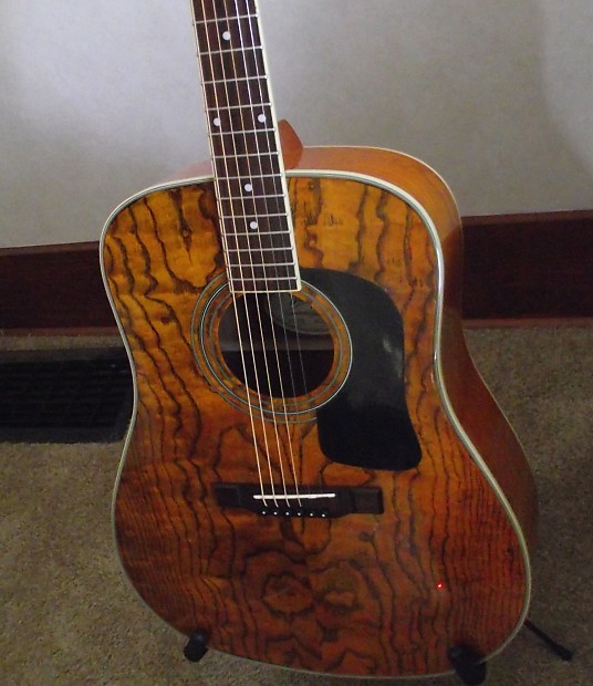 Washburn d11an top