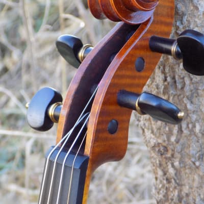 Professional Violin, Antique Dark Brown Varnish, Handmade in Kansas USA by Colton Mulder, Crow Creek Fiddles 2023 image 16
