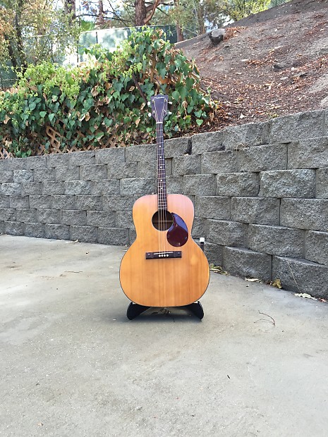 Silvertone tenor guitar deals