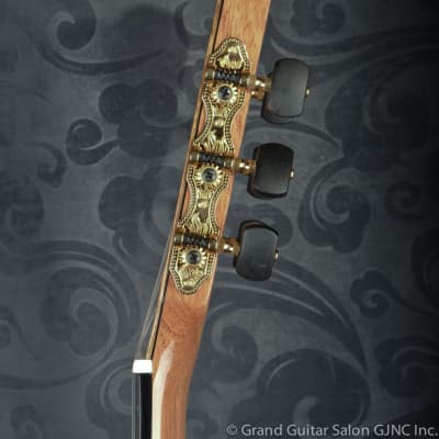 Raimundo Tatyana Ryzhkova Signature model, Cedar top  classical guitar image 5