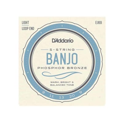 D'Addario EJ69 Phosphor Bronze 5-String Banjo Strings, Light, 9-20 image 1