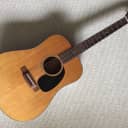 Martin D 18 1973 Reconditioned