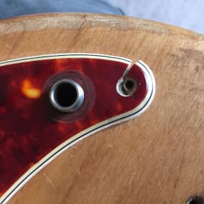 1968 Fender Precision Bass Tortoise shell pickguard w original screws 1965 1966 1967 1969 image 3