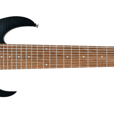 Ibanez RGIR9FME-FDF 9-string Electric Guitar (Faded Denim Burst