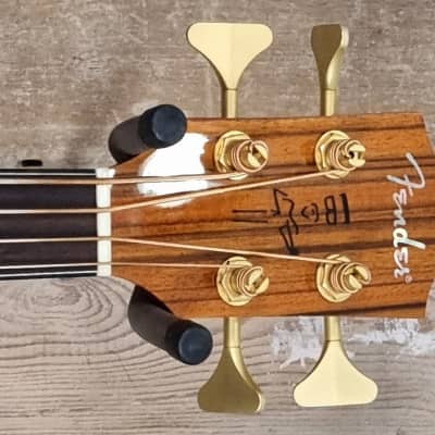 Fender Acoustic Victor Bailey Signature image 5