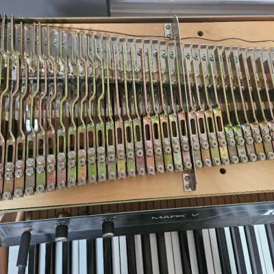Rhodes Mark V Stage 73 73-Key Electric Piano 1984 - Black image 6