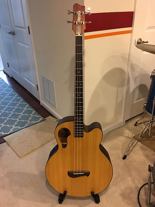 容音　ページ Olympia by Tacoma 4 String Acoustic-Electric Bass Guitar