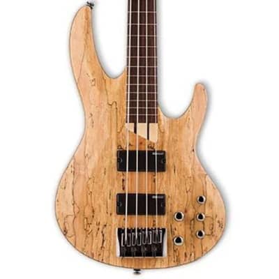 ESP LTD B-204SM Fretless Bass Guitar image 1