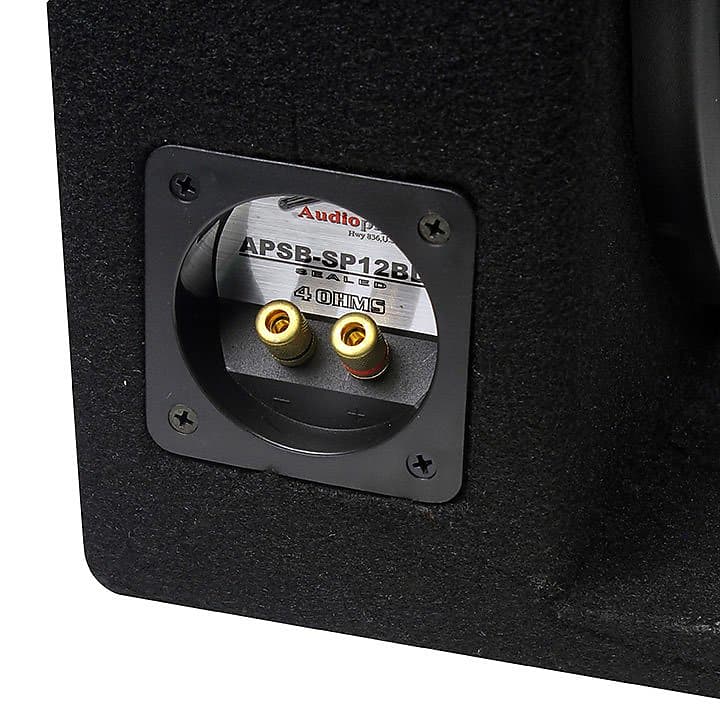 Audiopipe shallow mount 12 cheap