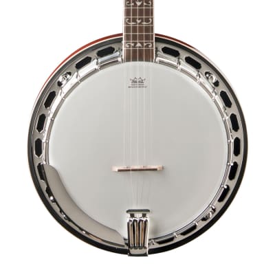 Washburn B16K Americana Series 5-String Banjo 2020s - Sunburst image 3