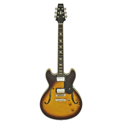 ARIA TA-CLASSIC Halbresonanzgitarre in Brown Sunburst for sale