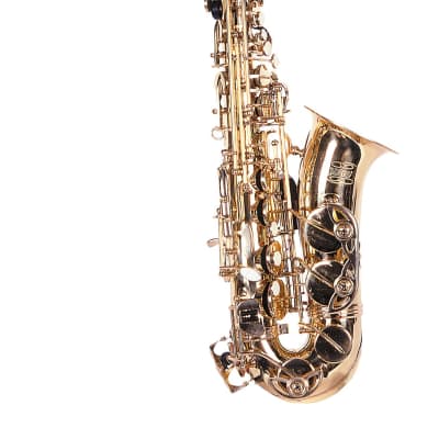 Lauren LAS100 Alto Saxophone LAS100-U image 1