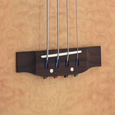 Morgan Monroe MQB-N Acoustic-Electric Bass (2000's) image 3