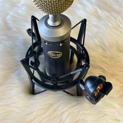 Blue Baby Bottle SL Large Diaphragm Cardioid Condenser Microphone