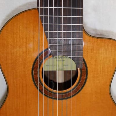 Bartolex SLC10CEL Classical 10-String Harp Guitar, w/Pickup, Cutaway, Sound Port, w/Softshell Case image 11