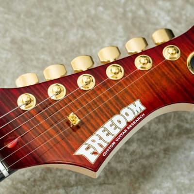 FREEDOM CUSTOM GUITAR RESEARCH HYDRA 24F 2Point 1P Flame Maple Body -Kabukimono- 2023 [Made in Japan] image 7