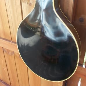 Late 40's Gibson A-50 Mandolin Great Player & Sound Weekend Blowout Sale image 5