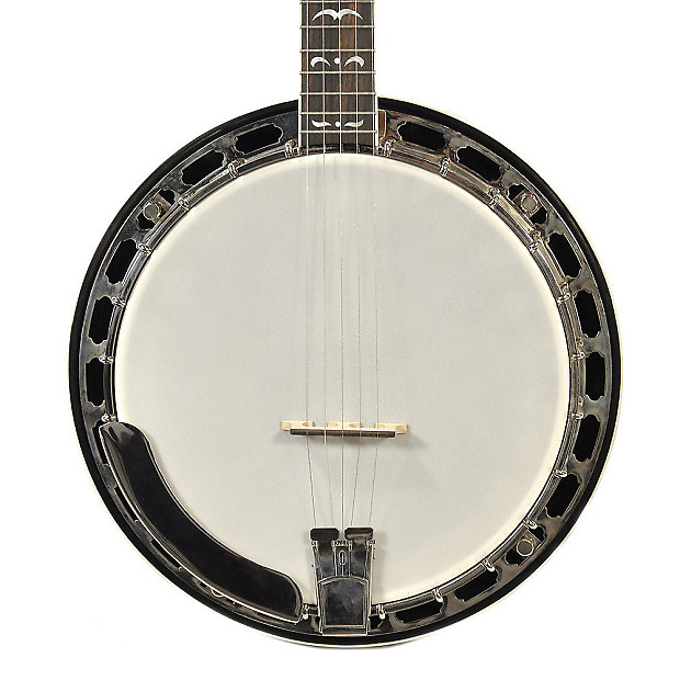Recording King RK-R35 Madison 5-String Resonator Banjo image 1