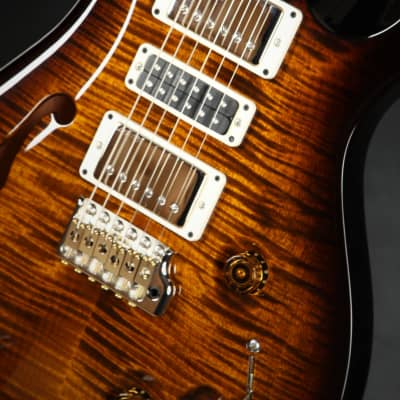 Paul Reed Smith Special Semi-Hollow Limited Edition - Black Gold Wrap image 11