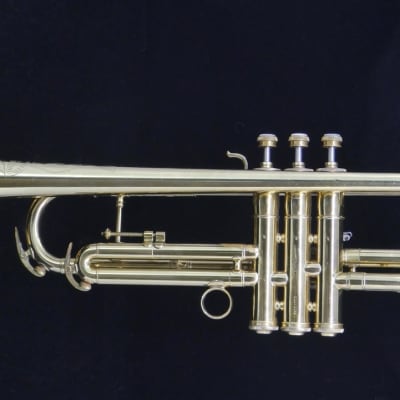 Satin Lacquer ACB Doubler's Large Bell Pocket Trumpet!