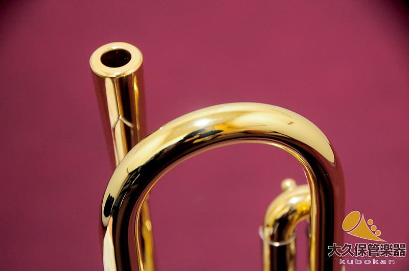 Brasspire Unicorn BPTR-900HNL B♭ Trumpet | Reverb