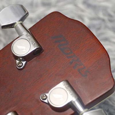 MORRIS M603 現状品 Yahoo!オークション -「m-603」(ギター) (楽器、器材)の落札相場