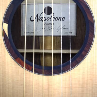 Liuteria Napoleone Om Guitar New 2023/4 image 5