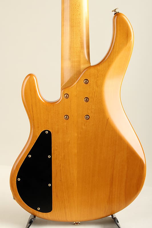 STR GUITARS LS549 #492 | ワタナベ楽器店 大阪店