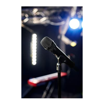 Sennheiser Pro Audio Vocal Dynamic Microphone (MD 445) image 6
