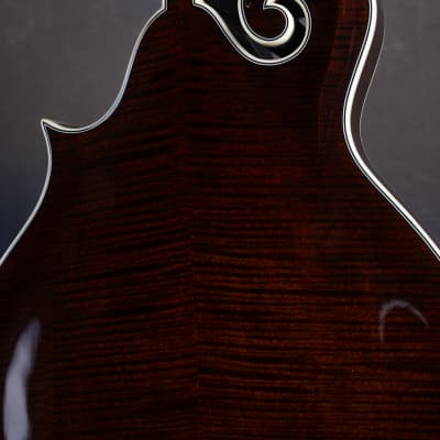 Bourgeois M5-F-BT Black Top Aged F-style mandolin Brand New image 11