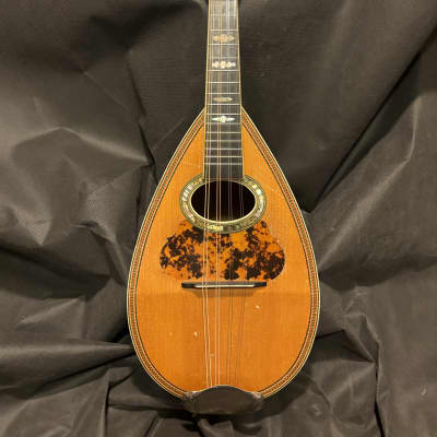 American Conservatory, Lyon & Healy Bowl Back Mandolin 1890s - Brazilian RW - Great Player - Ships FREE!!! for sale