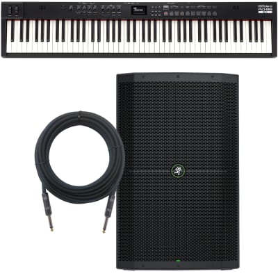 Roland RD-88 EX Stage Piano MONITOR KIT