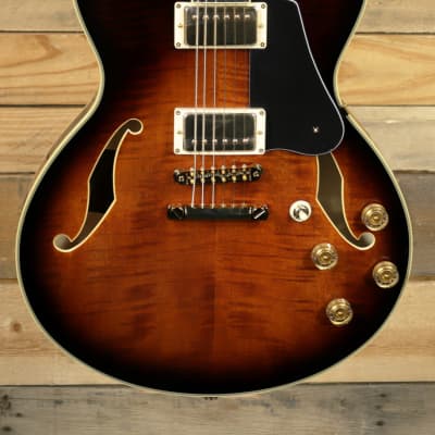 Ibanez John Scofield Signature JSM100 Hollowbody Guitar Vintage Sunburst w/ Case image 2