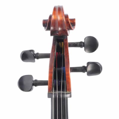 Eastman Strings 4/4 VC95 Cello Outfit USED image 5