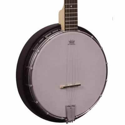 Gold Tone GT Series AC-5 5-String Composite Banjo (VAT) image 1
