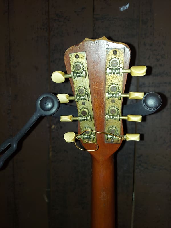 希少 ヴィンテージ RexProfessional ボウルバックマンドリン Vintage Rex Professional Bowlback Mandolin | Reverb