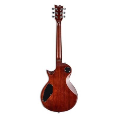 ESP LTD EC-256 FM 6-String Right-Handed Electric Guitar with Mahogany Body and 22 Extra-Jumbo Frets (Dark Brown Sunburst) image 2