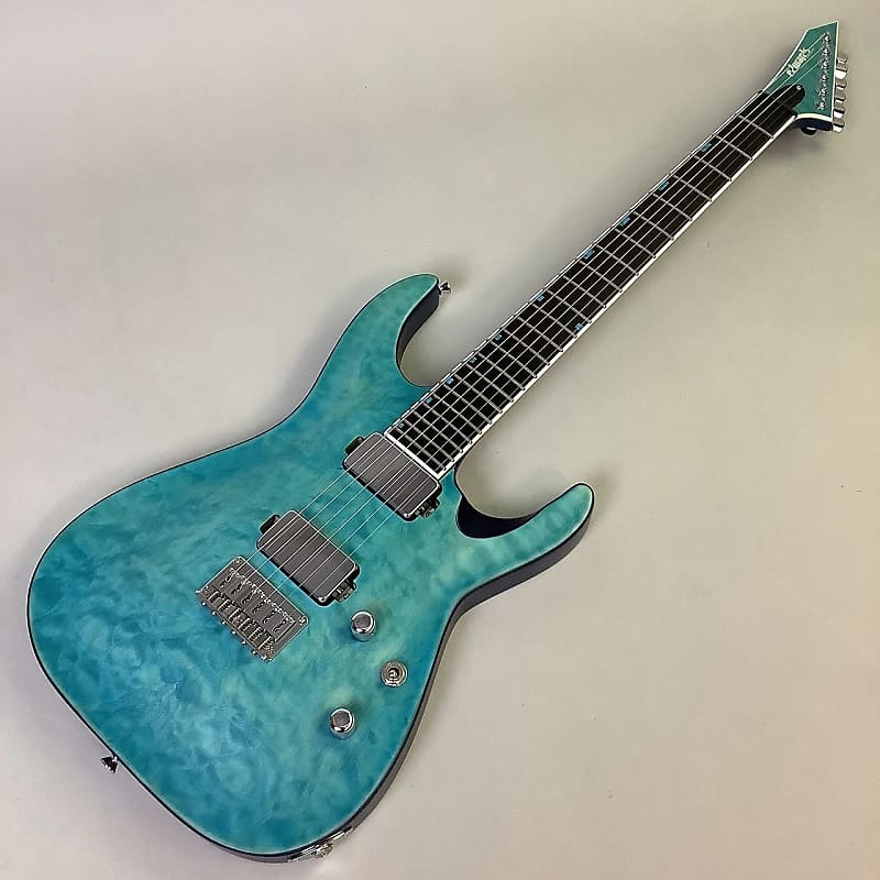 Edwards E-HR-SNT/QM/BKP | Reverb