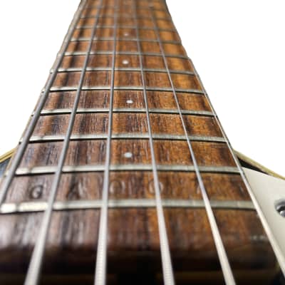 Ry Cooder Owned Mosrite Gospel Hollowbody Electric Guitar w/ COA image 19