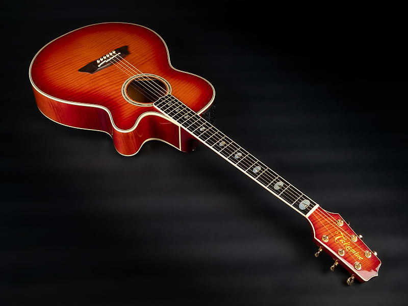 TAKAMINE NPT-115|ドルフィンギターズ