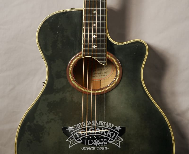 1990's YAMAHA APX-10S | Reverb