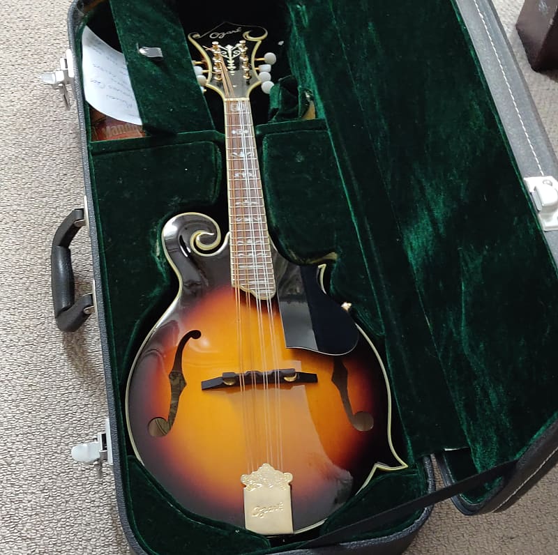 Ozark 2255 F style mandolin image 1