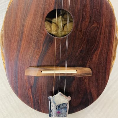 Turtle Shell Acoustic Dulcitar- rosewood top image 6