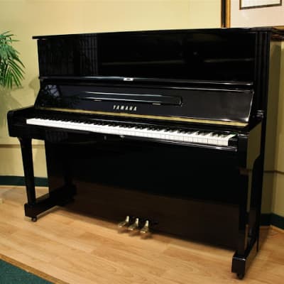 Yamaha U1 - 3495 - Upright Piano image 1