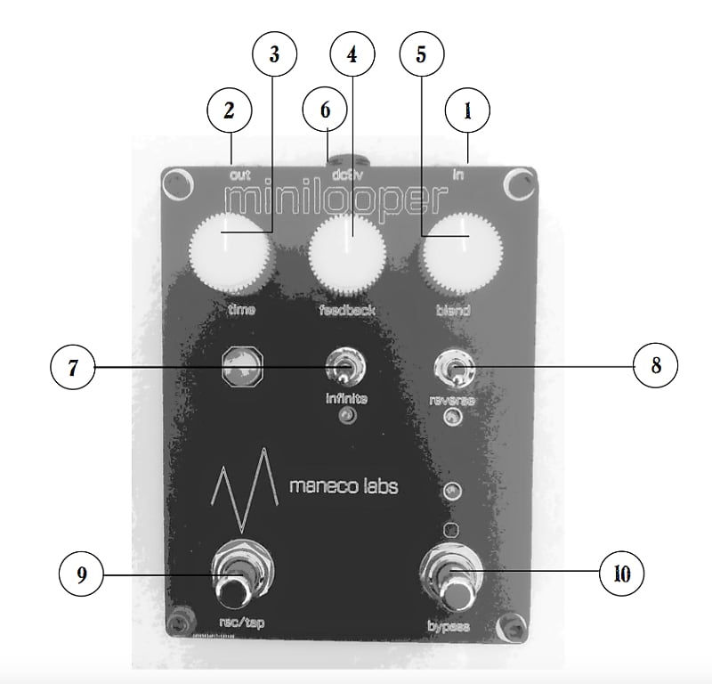 Maneco Labs minilooper | Reverb