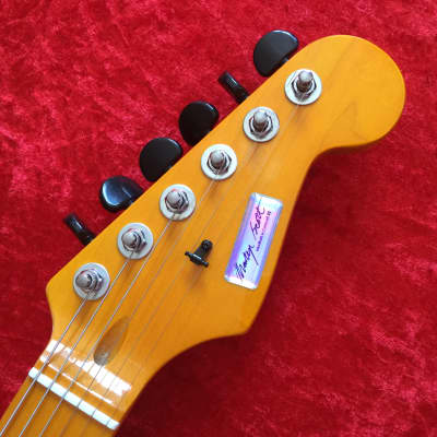 Martyn Scott Instruments Custom Built Partscaster Guitar in Matt Purple image 7