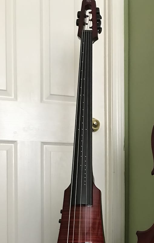 WAV Electric Violin | Great Affordability And Performance | NS Design