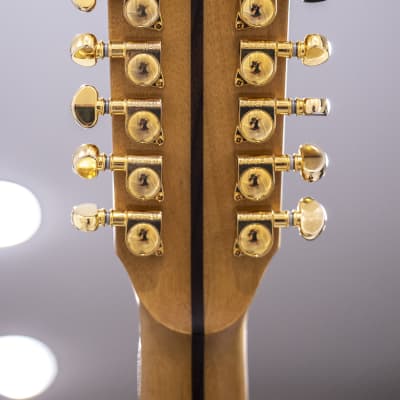 Zager ZAD-900CE12/aura/vcs image 9